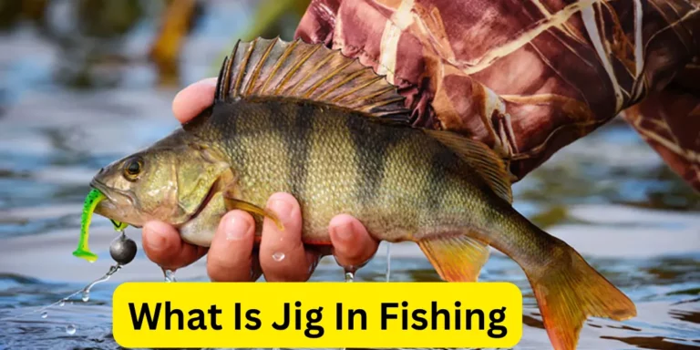 What Is Jig In Fishing_